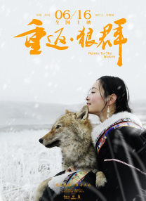 女人的战争：窥视的眼睛